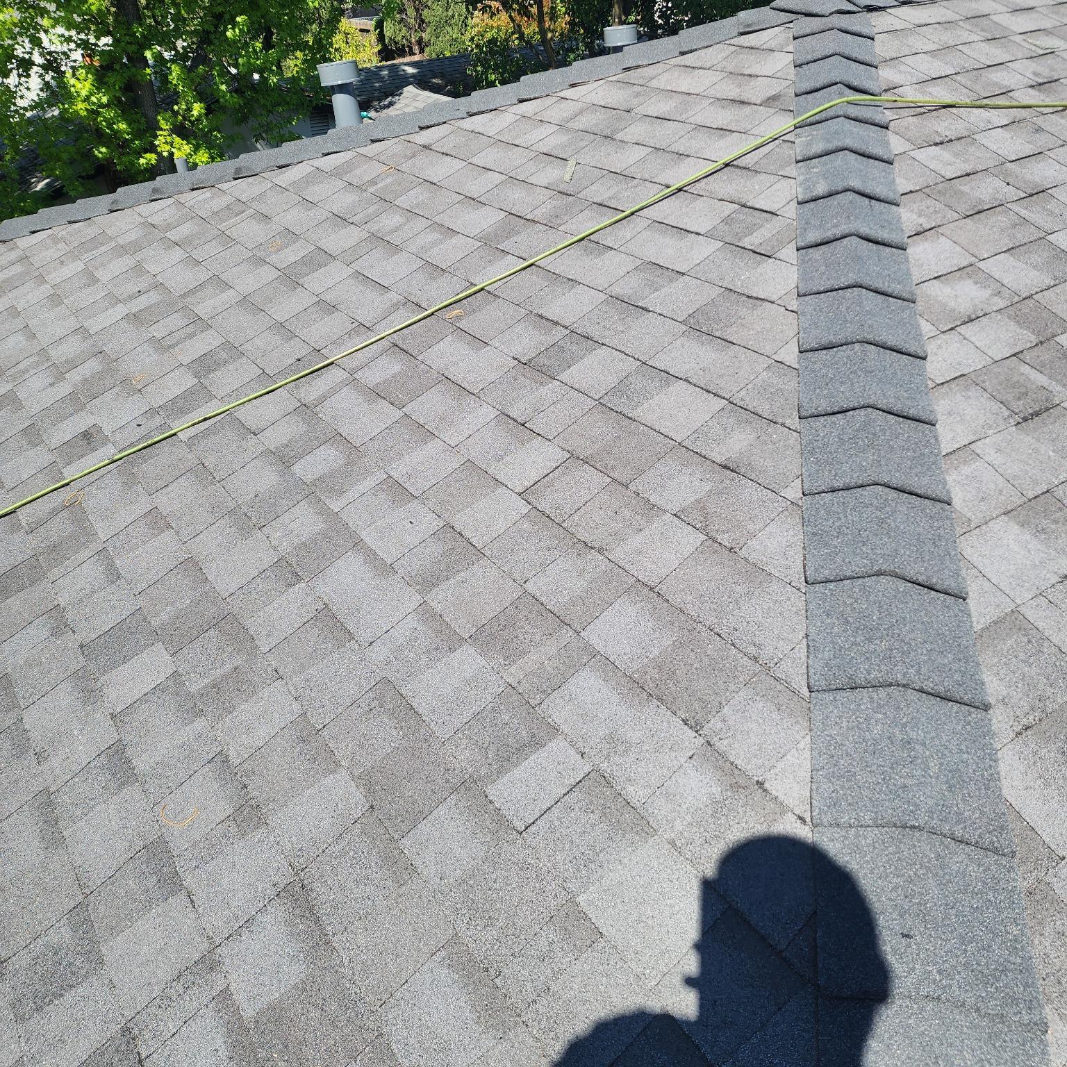 Asphalt Shingle Roof